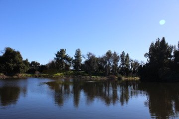 Pond at Davis